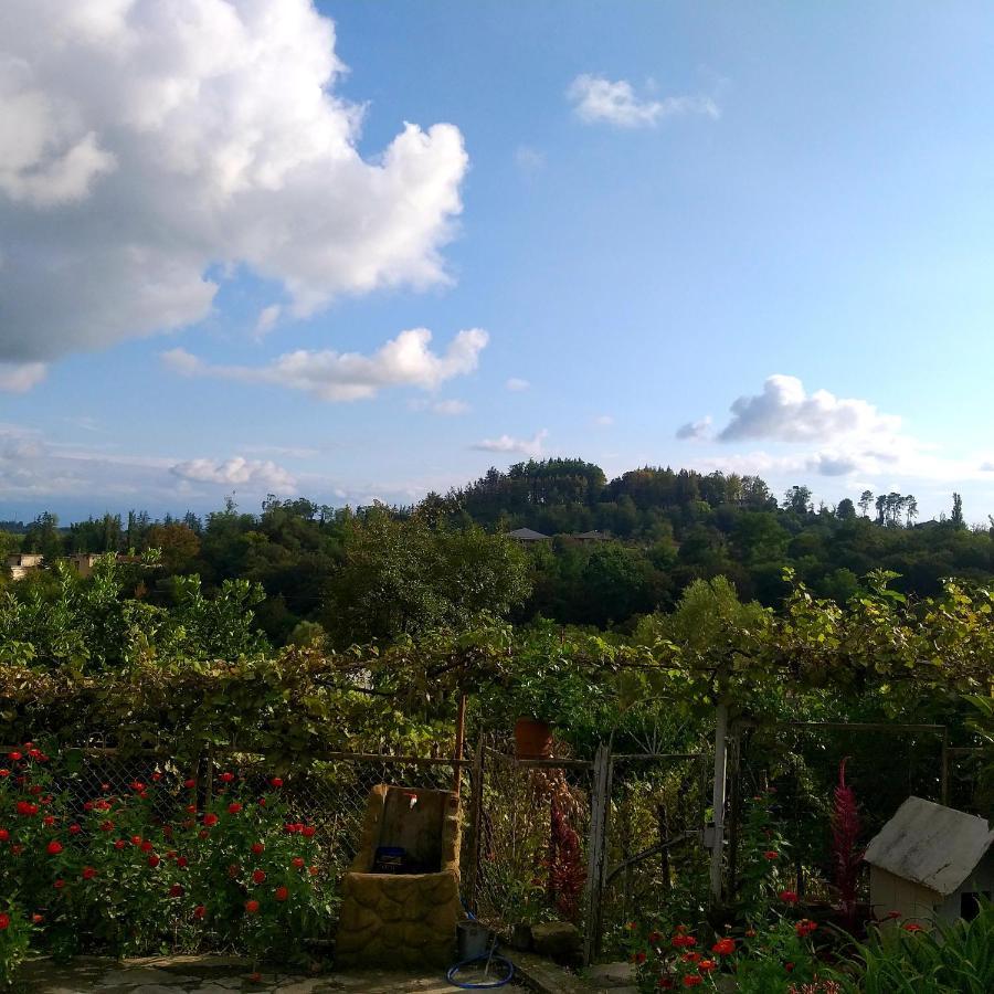 Magdan House Villa Ckaltubo Kültér fotó