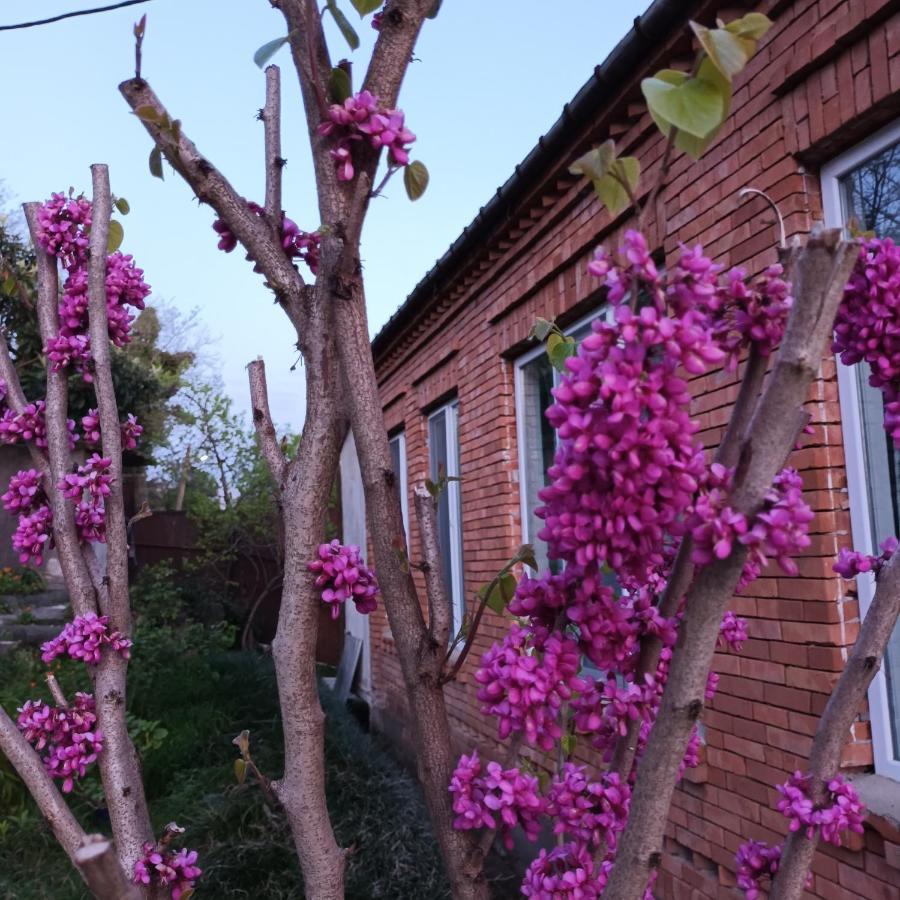 Magdan House Villa Ckaltubo Kültér fotó